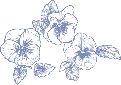 Heartsease Consultancy Flowers